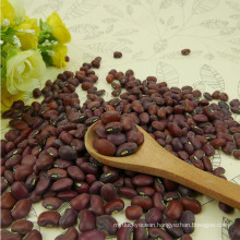 Chinese 2013 Crop High Quality Red cowpeas (red cowpea beans)